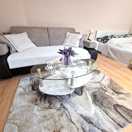 Aparthouse Apartamenty Centrum Sosnowiec Exteriér fotografie