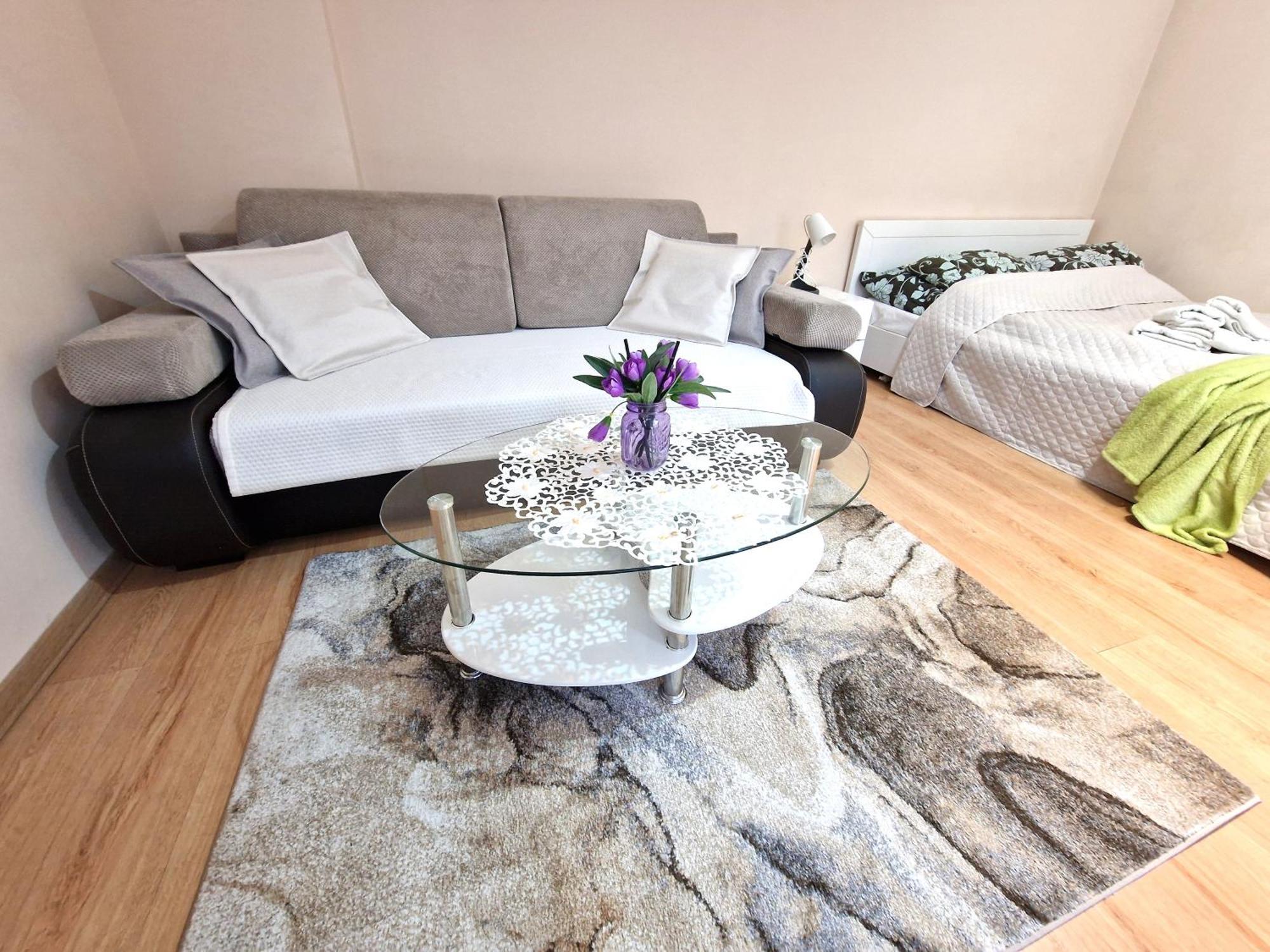 Aparthouse Apartamenty Centrum Sosnowiec Exteriér fotografie