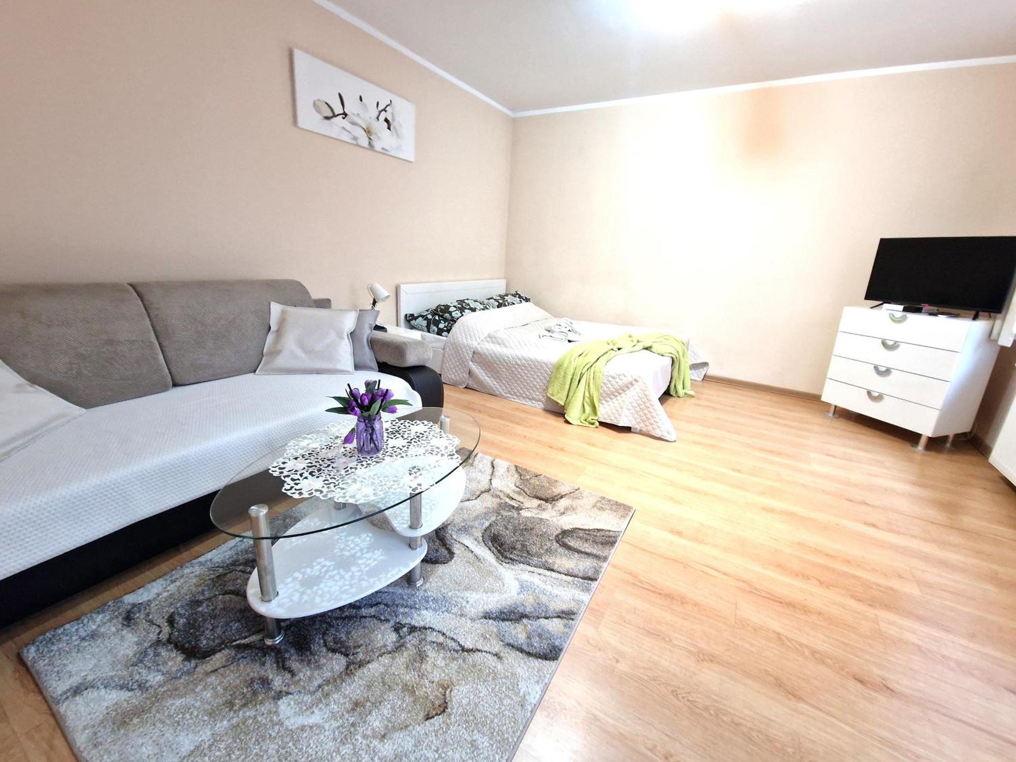 Aparthouse Apartamenty Centrum Sosnowiec Exteriér fotografie
