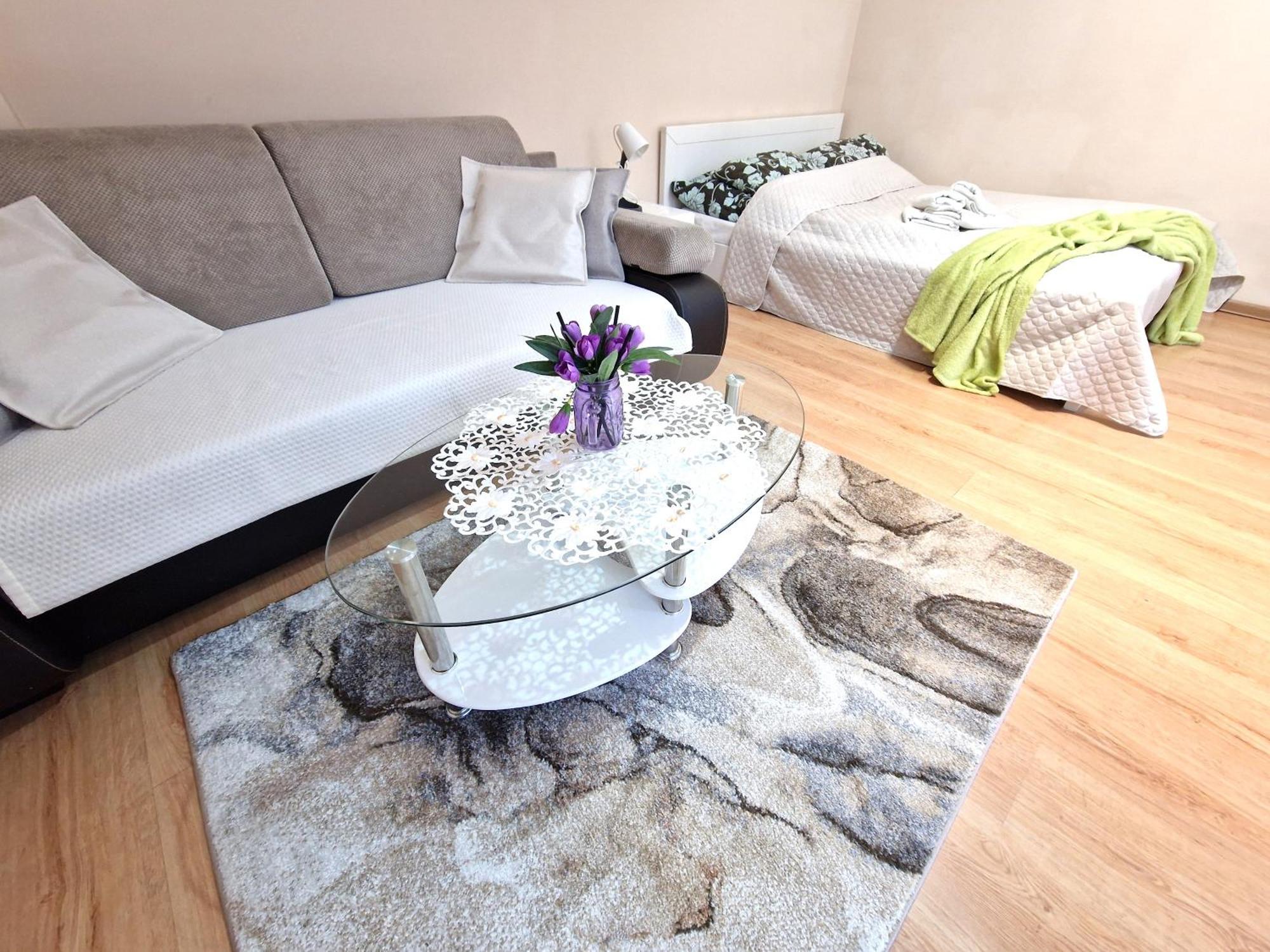 Aparthouse Apartamenty Centrum Sosnowiec Exteriér fotografie